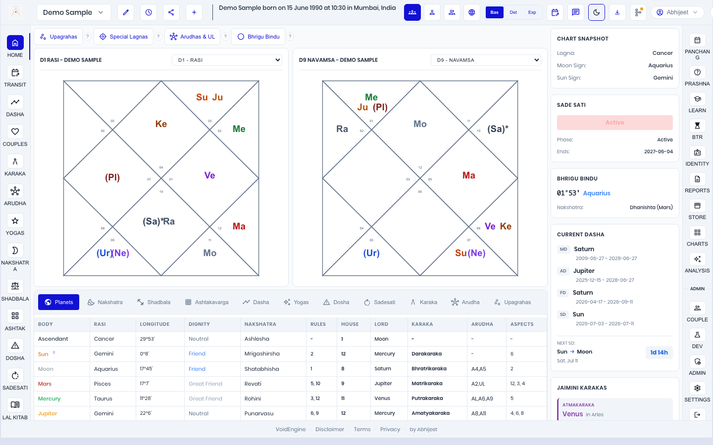 DestinySync Pro practitioner workbench, showing a sample chart
